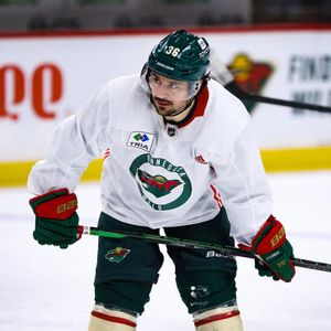 Image post by @minnesotawild on Instagram