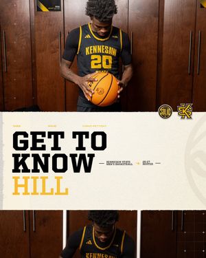 Image post by @ksuowlsmbb on Instagram
