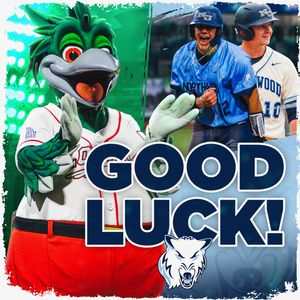 Image post by @greatlakesloons on Instagram