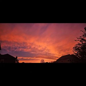 Image post by @painting_indy on Instagram