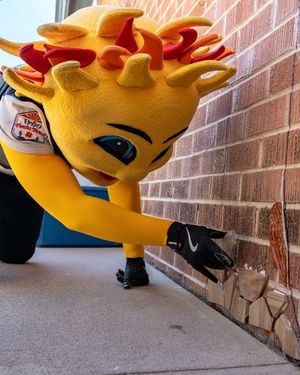 Image post by @fiesta_bowl on Instagram