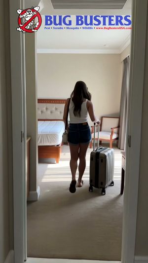 Video post by @bugbustersusa on TikTok