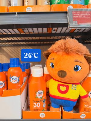 Image post by @lidlromania on Instagram