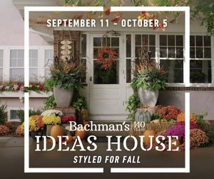Image post by @shopbachmans on Instagram