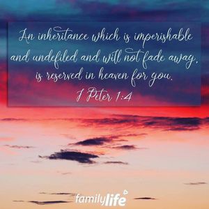 Image post by @familylifenypa on Instagram