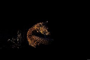Image post by @guybrunskillphoto on Instagram