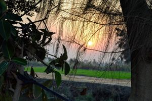Image post by @faragelo22 on Instagram