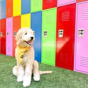 Image post by @legacywestplano on Instagram