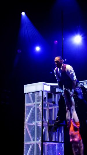 Image post by @madapple.cirquedusoleil on Instagram