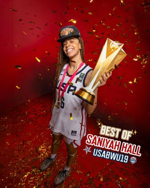 Image post by @usabasketball on Instagram