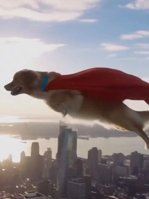 Image post by @soraofficial on Instagram