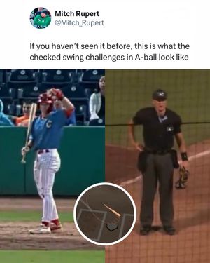Image post by @milb_central on Instagram
