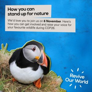 Image post by @rspb on Instagram