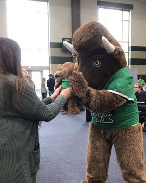 Image post by @marshallu on Instagram