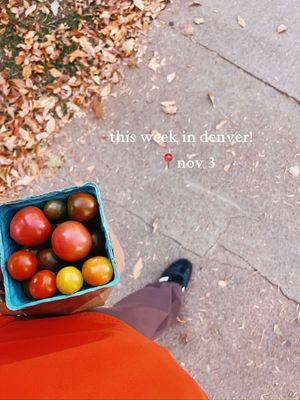 Video post by @filmbychloeg on TikTok