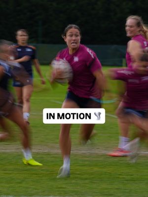 Image post by @salesharkswomen on Instagram
