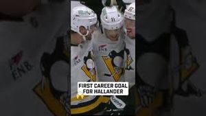 Video post by @penguins on YouTube