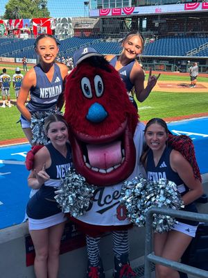Image post by @nevadacheerleading on Instagram