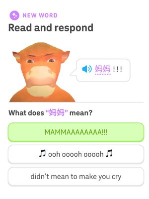 Image post by @duolingo on Instagram