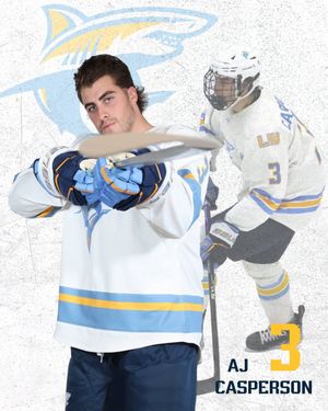 Image post by @liumhockey on Instagram