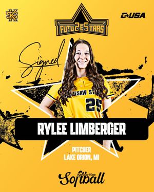 Image post by @ksuowlssb on Instagram