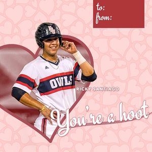 Image post by @fauathletics on Instagram