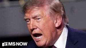 Video post by @msnbc on YouTube
