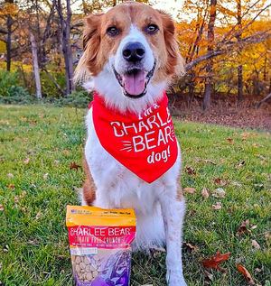 Image post by @charlee_bear_dogtreats on Instagram