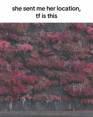 Video post by @amazonmusic on TikTok