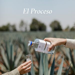 Image post by @lalospirits on Instagram