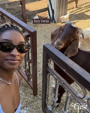 Image post by @thegistca on Instagram