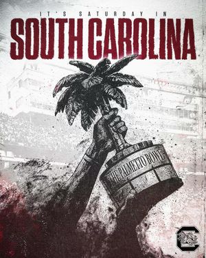 Image post by @gamecockfb on Instagram