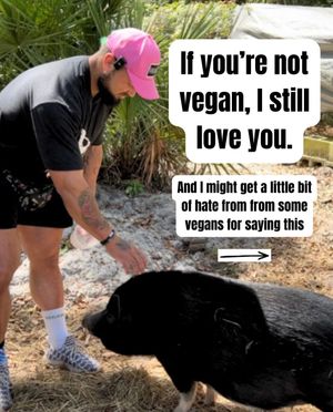 Image post by @thebodybuildingvegan on Instagram