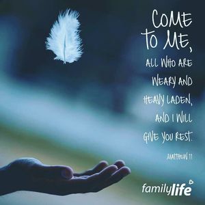 Image post by @familylifenypa on Instagram