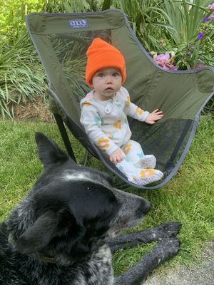 Image post by @enohammocks on Instagram