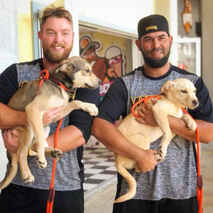 Image post by @sussexcountyminers on Instagram