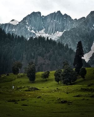 Image post by @solo_escapist on Instagram