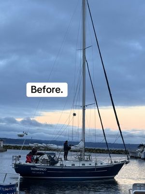Video post by @sailing_with_phoenix on TikTok