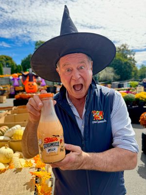 Image post by @stewleonards on Instagram