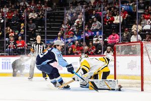 Image post by @wbspenguins on Instagram