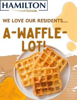 Image post by @thehamiltontownhomes on Facebook