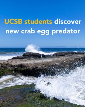 Image post by @ucsantabarbara on Instagram
