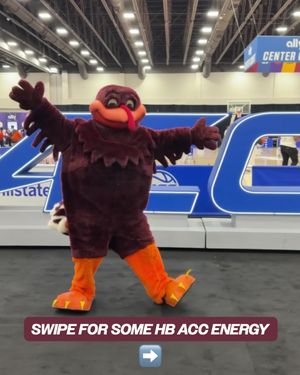 Image post by @hokiesports on Instagram