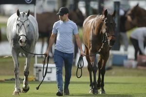 Image post by @uspoloassociation on Instagram