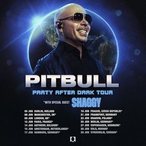Image post by @pitbull on Twitter