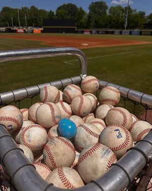 Image post by @fayettevillewoodpeckers on Instagram