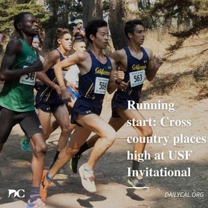 Image post by @dailycalsports on Instagram