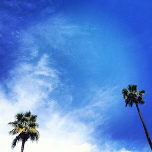 Image post by @kirstenalana on Instagram