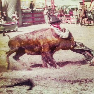 Image post by @prca_prorodeo on Instagram
