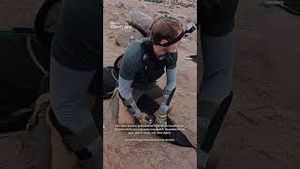 Video post by @dji on YouTube